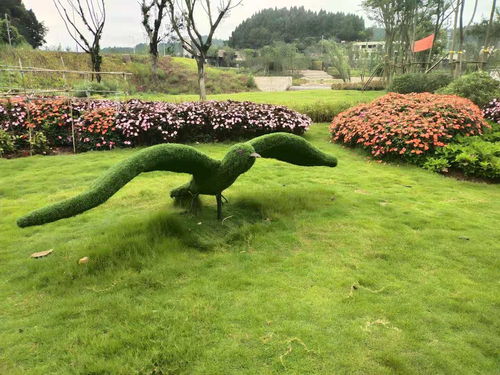 【人氣景觀植物雕塑,廠家定制綠雕造型,批發(fā)價出售綠雕造型】- 